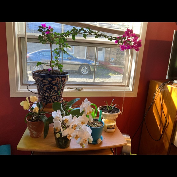 Porte-carte de travail bijou clip mignon - Picture 3 of 5